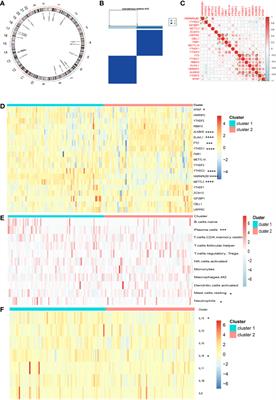 m6A Regulator Expression Segregates Meningiomas Into Biologically Distinct Subtypes